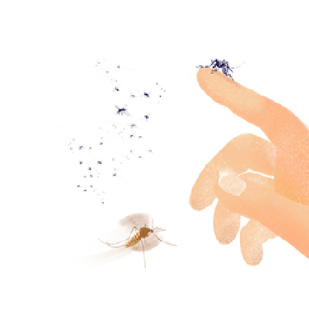 Moustiques