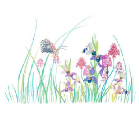 prairie